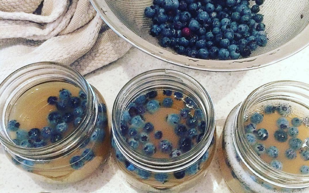 Healthy Jelly Pots with Fresh Fruit