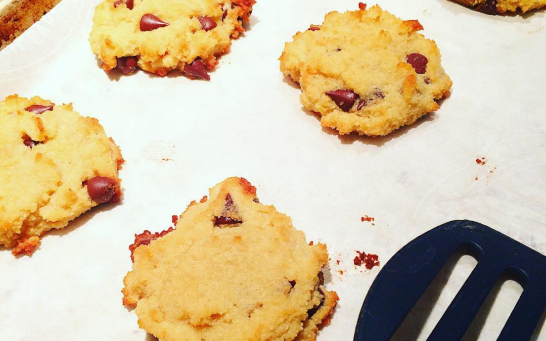 Gluten-Free, Nut-Free, Grain-Free Chocolate Chip Cookies