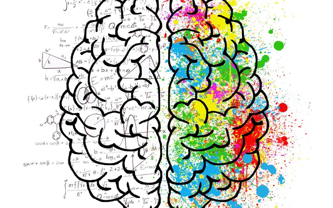 The Gut – Brain Connection